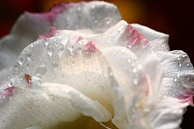 AMD公布FSR 3未来支持游戏 《黑神话》《赛博朋克2077》在列